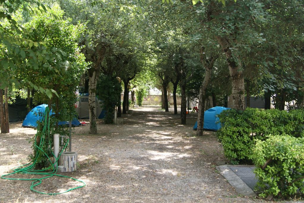 Camping Dolce Sole Marina di Massa Exterior foto