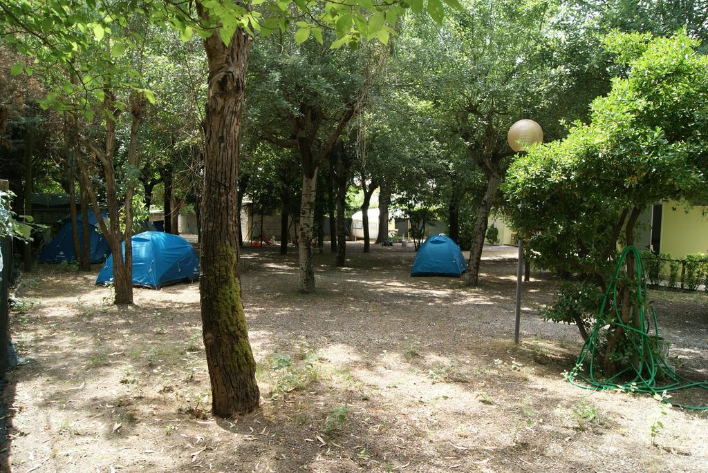 Camping Dolce Sole Marina di Massa Habitación foto